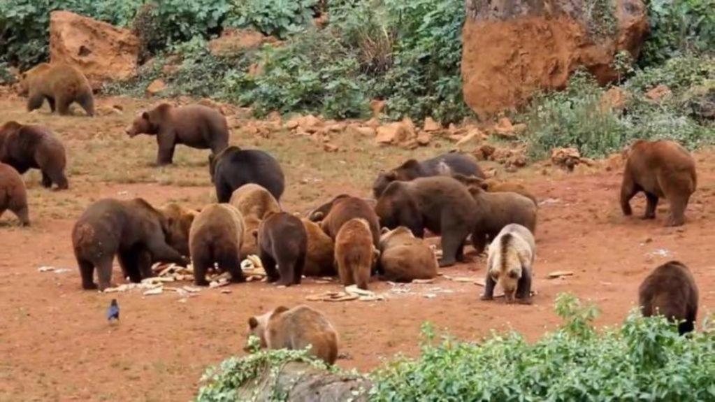 Casa Rural El Pozo Tremeo Sona Kültér fotó