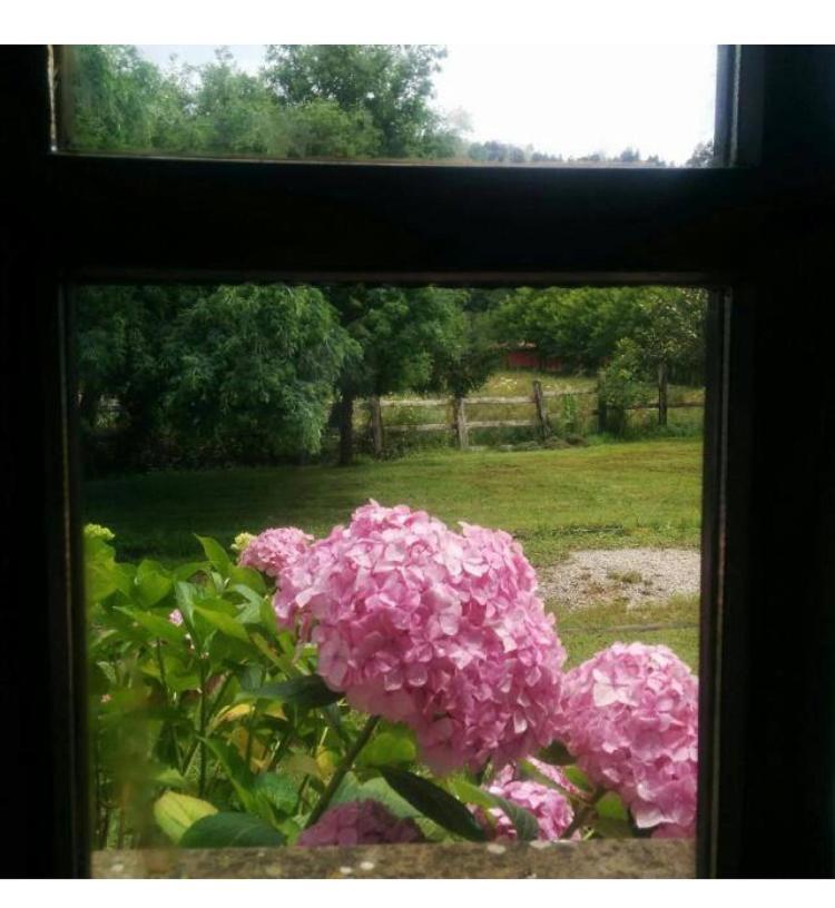 Casa Rural El Pozo Tremeo Sona Kültér fotó
